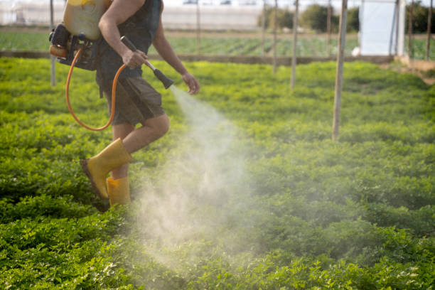 Best Pest Prevention Services  in Trent Woods, NC