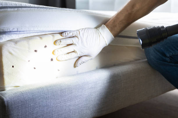 Best Residential Pest Control  in Trent Woods, NC